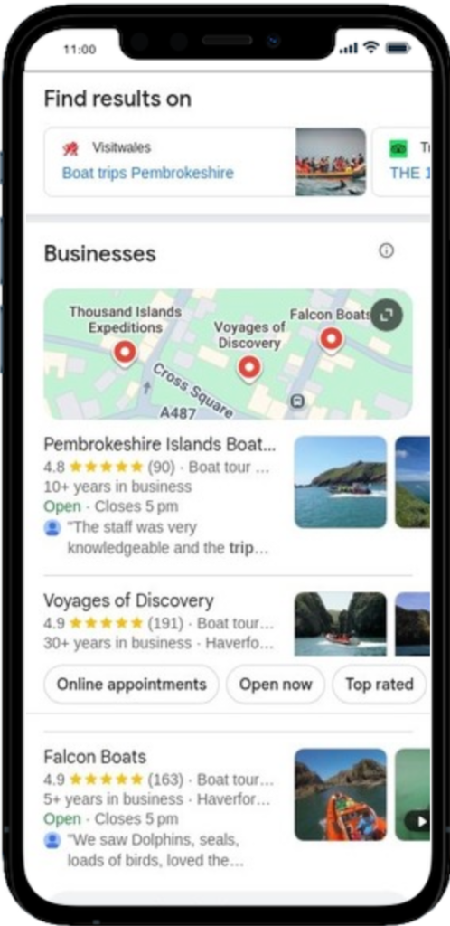 An image showing the map pack for a search query for 'boat trips' on a mobile device